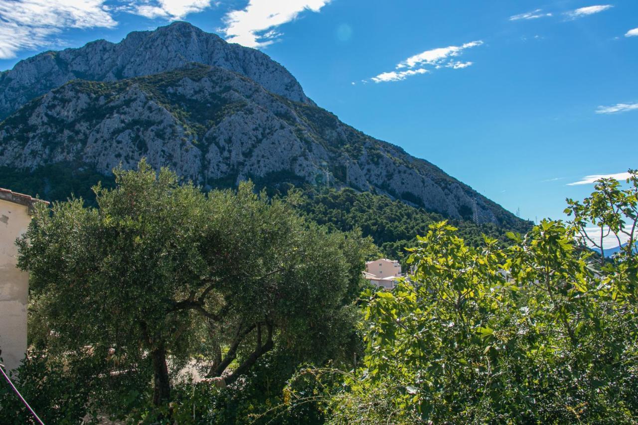 Apartments With A Parking Space Gradac, Makarska - 14708 エクステリア 写真