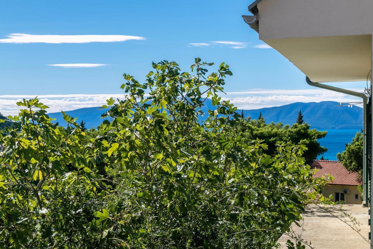 Apartments With A Parking Space Gradac, Makarska - 14708 エクステリア 写真